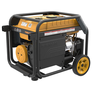 FIRMAN H03651 4550/3650 Watt Dual Fuel Electric Start Generator, cETL