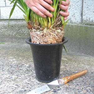 Nisaku Stainless Steel Potted Plants Master, 10-Inch Blade