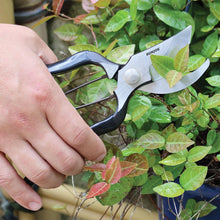 Load image into Gallery viewer, Sun Joe by Nisaku NJPSC1 Carbon Steel Pruner/Secateurs with Genuine Leather Holster and Non-Slip Grip
