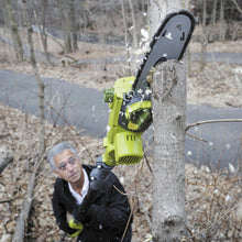 Load image into Gallery viewer, Sun Joe iON8PS 40-Volt iONMAX Cordless Pole Chain Saw Kit | 8-Inch | W/ 4.0-Ah Battery and Charger
