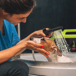 Sun Joe 24V iON+ Cordless Go-Anywhere Portable Sink/Shower Spray Washer Kit | 2.5 Gal | w/ 2.0Ah Battery + Charger